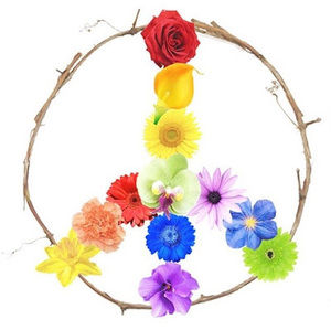 Meet your Posher, Gail